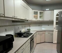 Holland Hill Park (D10), Condominium #517904431